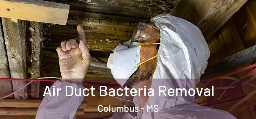  Air Duct Bacteria Removal Columbus - MS
