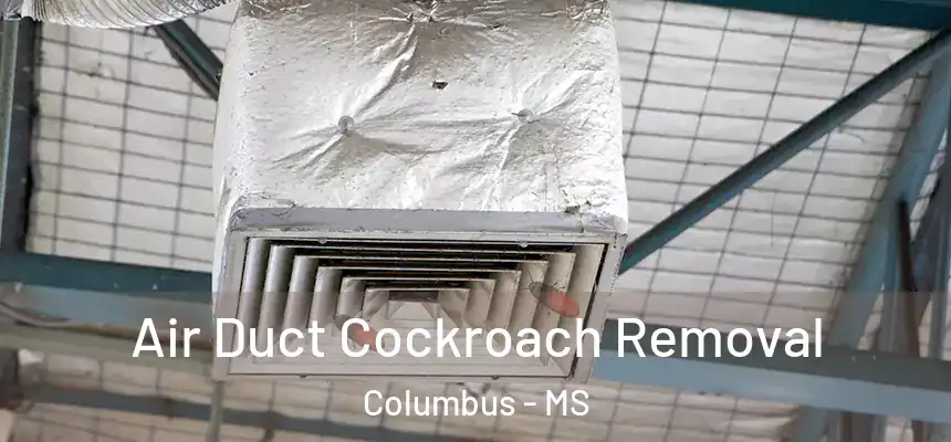 Air Duct Cockroach Removal Columbus - MS