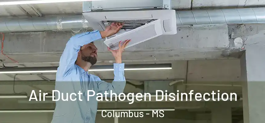  Air Duct Pathogen Disinfection Columbus - MS
