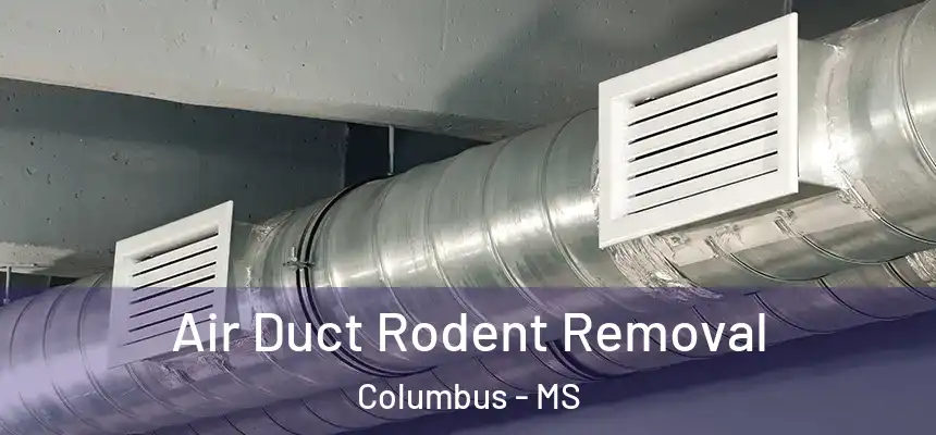  Air Duct Rodent Removal Columbus - MS