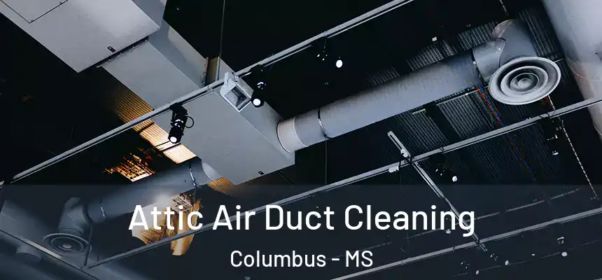  Attic Air Duct Cleaning Columbus - MS