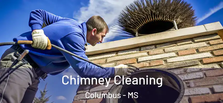  Chimney Cleaning Columbus - MS