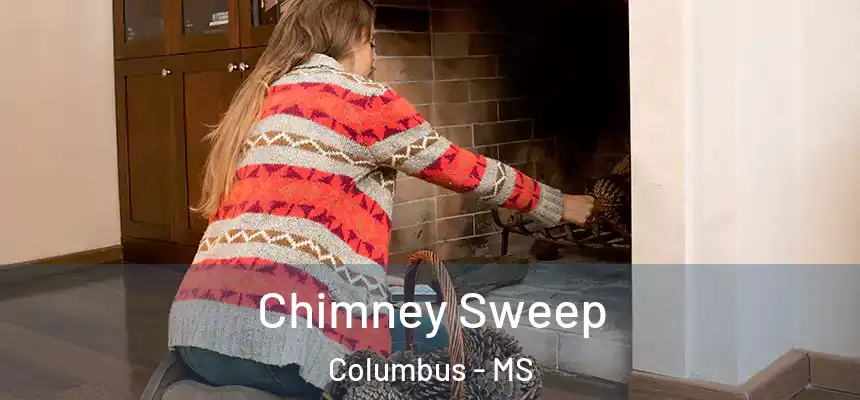  Chimney Sweep Columbus - MS