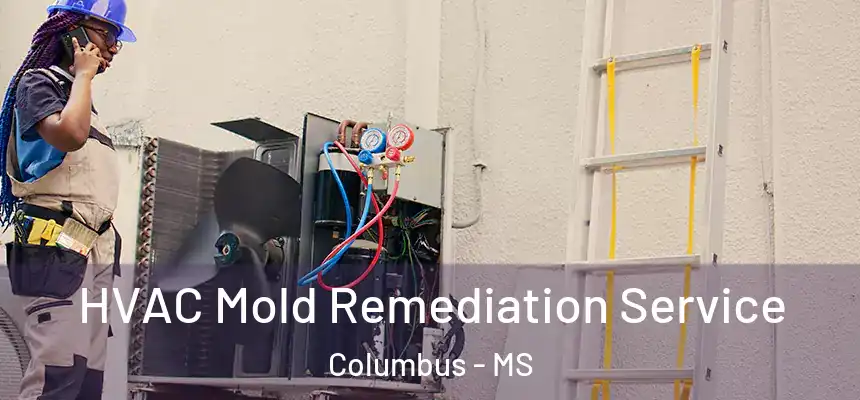  HVAC Mold Remediation Service Columbus - MS