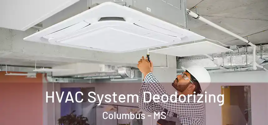  HVAC System Deodorizing Columbus - MS