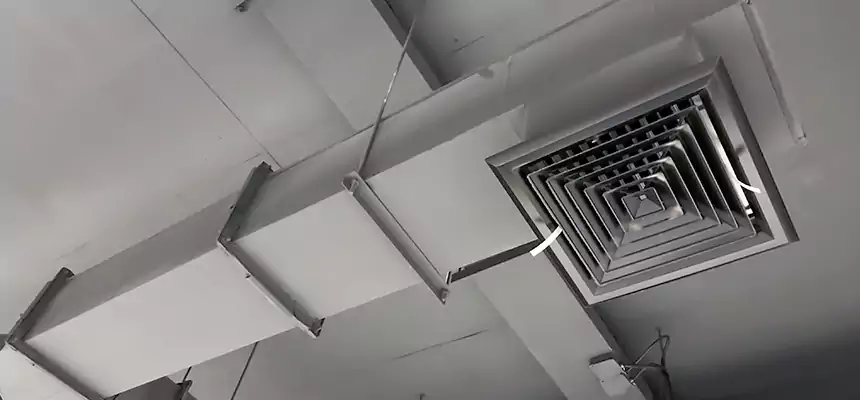 Our Rodent Droppings In Vents Services in Columbus, MS