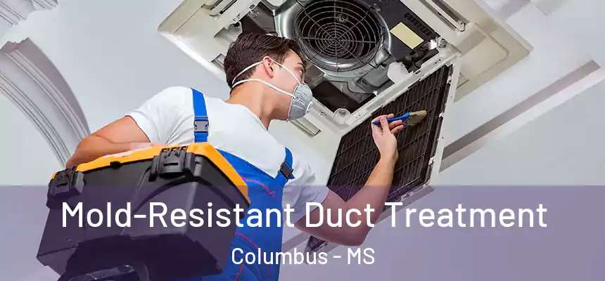  Mold-Resistant Duct Treatment Columbus - MS