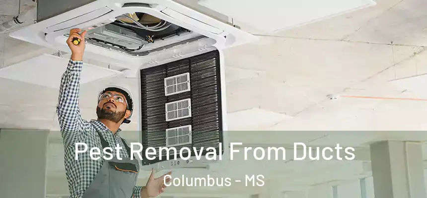  Pest Removal From Ducts Columbus - MS