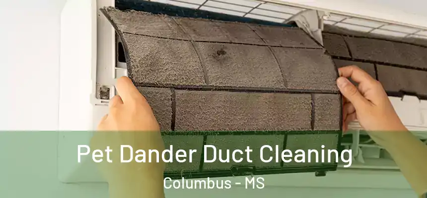Pet Dander Duct Cleaning Columbus - MS
