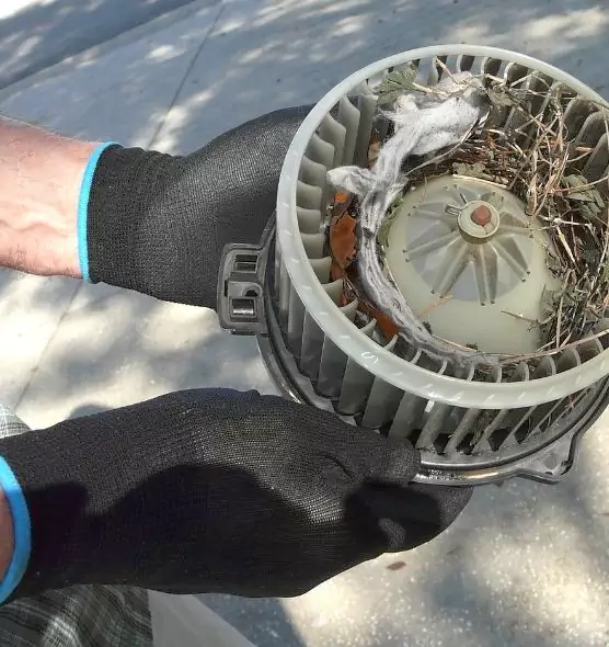 About Air Duct Mice Removal in Columbus, MS