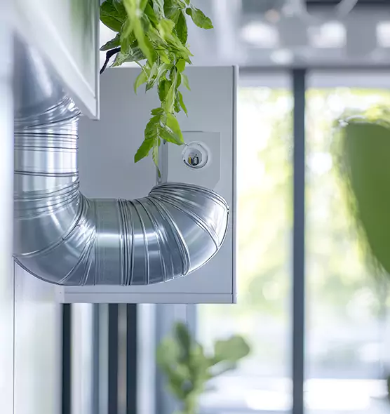 Professional Eco-Safe Dryer Vent Cleaning in Columbus, MS