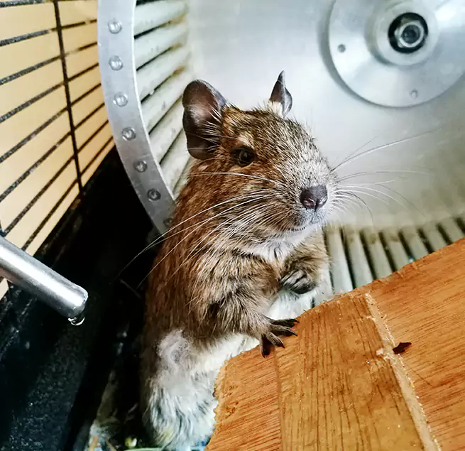 Why Homeowners & Businesses Trust Us Columbus, MS