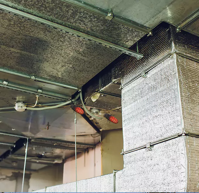 Why Homeowners & Businesses Trust Us Columbus, MS?